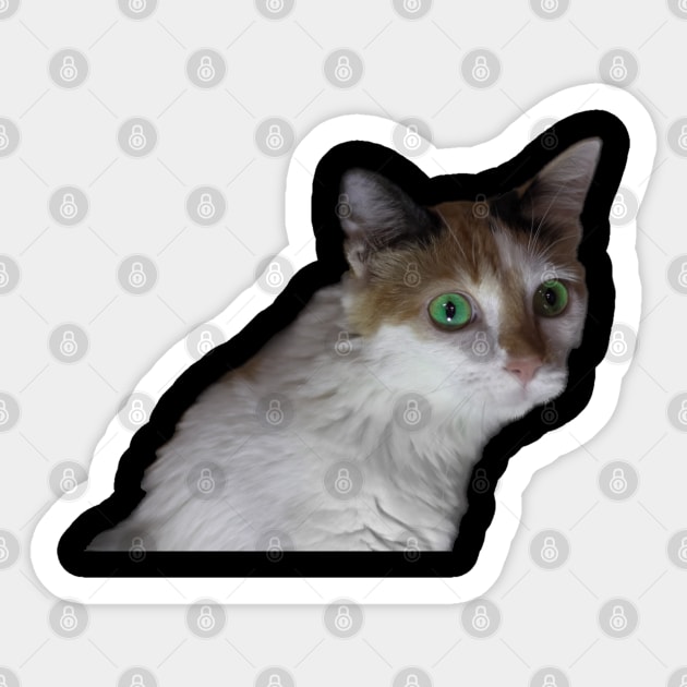 white cat green eyes Sticker by rickylabellevie